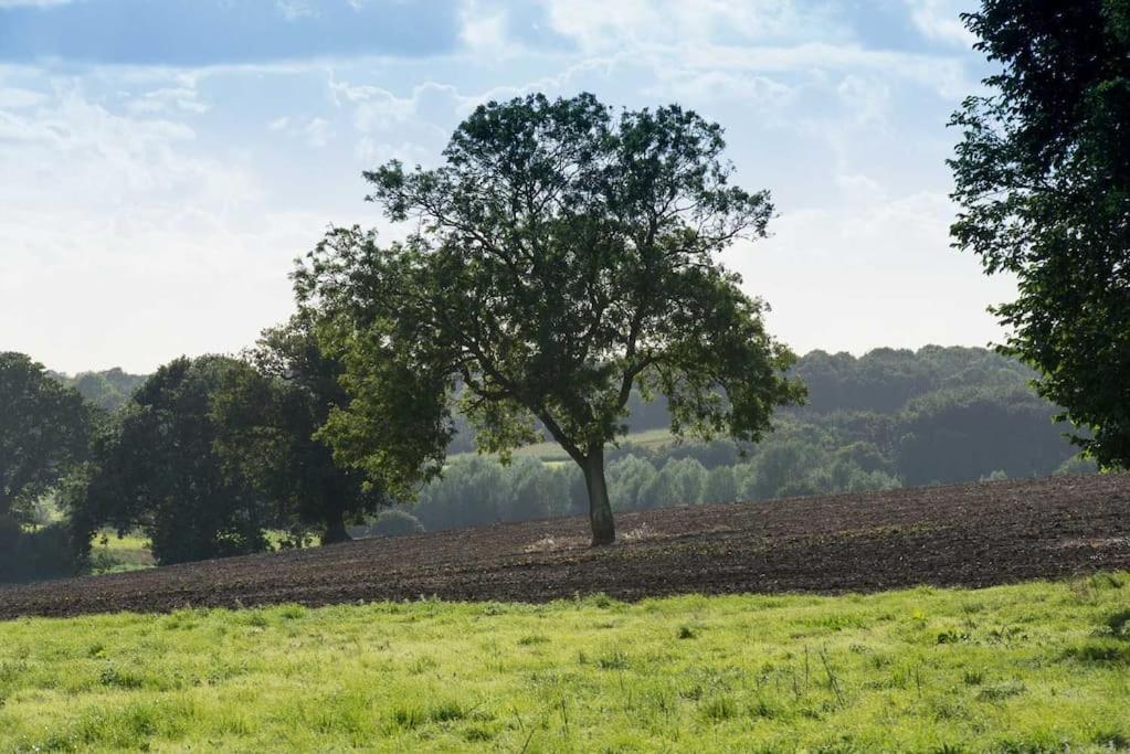 The Stables, Relax In 5 Star Style And Comfort With Lovely Walks All Around Maplestead Buitenkant foto